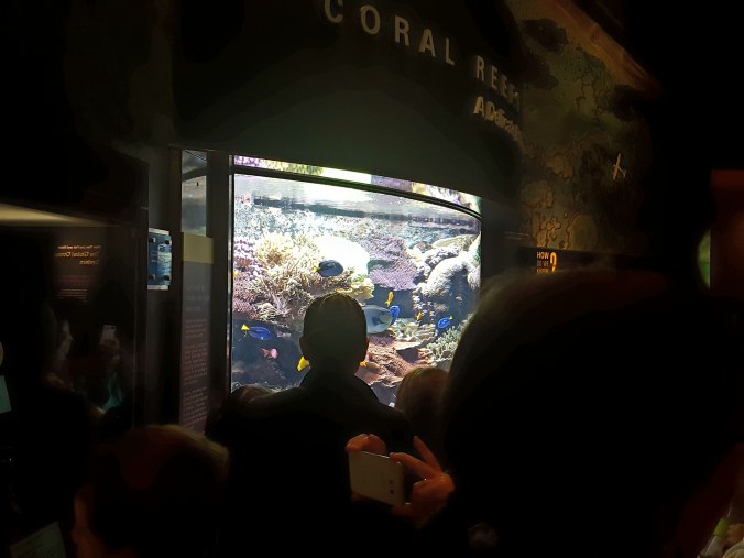 NMNH Mini Aquarium.jpg